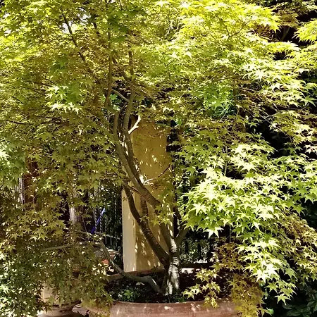 Romana Vecchia Frühstückspension